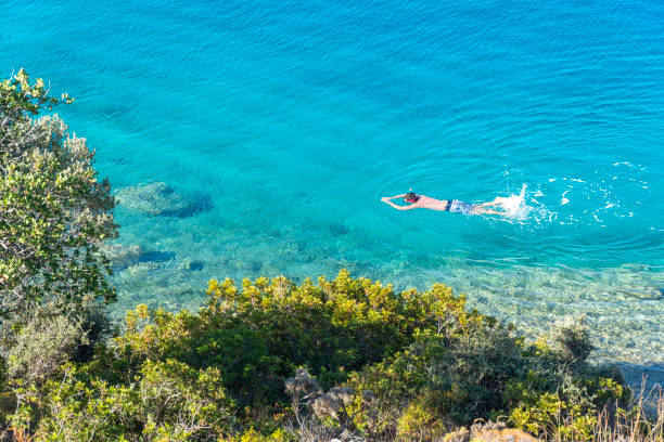 istock Snorkeling in blue waters. 1313268206