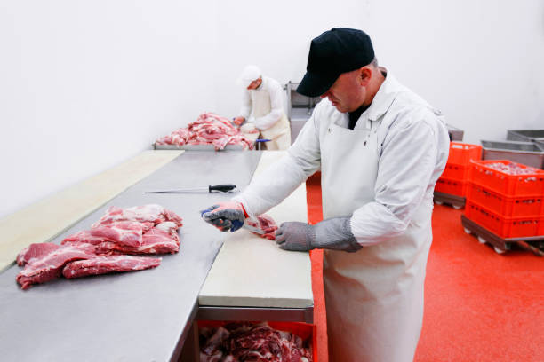 A worker in meat factory, chopped a fresh beef meat in pieces on work table, industry of processing. stock photo