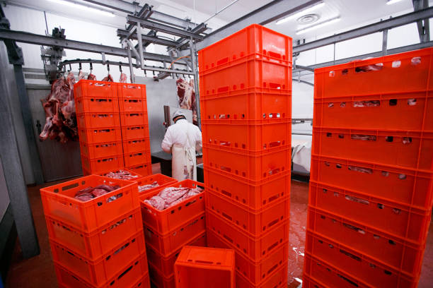 una gran cantidad de cajas rojas de plástico con carne cruda fresca picada, un trabajador organizó un almacenado en una fábrica de carne, proceso de la industria. - butcher butchers shop slaughterhouse hook fotografías e imágenes de stock