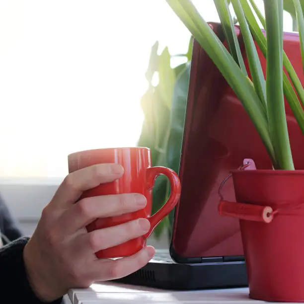 hand with a red mug on the background of a mobile computer on the table with a green plant