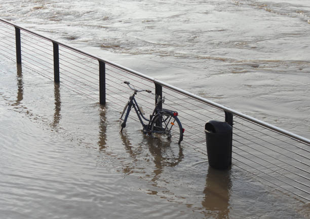 Winter floods of the Rhine stock photo