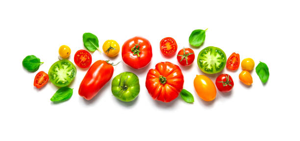 istock Fresh ripe tomatoes of different varieties with basil leaves isolated on white panoramic background 1313276440