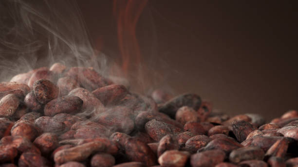 Pile of roasted cocoa beans Pile of roasted cocoa beans, whole unpeeled pieces, free space for text. cocoa bean stock pictures, royalty-free photos & images