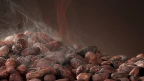 Pile of roasted cocoa beans, whole unpeeled pieces, free space for text.