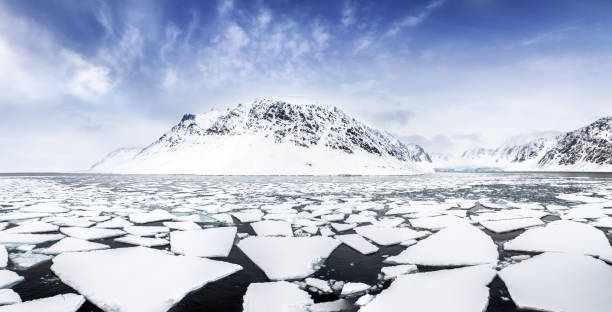 istock Mountains, fjords and pack ice panorama, Svalbard 1313279109