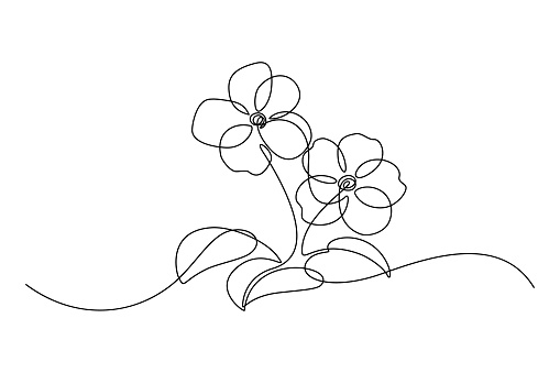 African violet in continuous line art drawing style. Saintpaulia flowering plant black linear sketch isolated on white background. Vector illustration