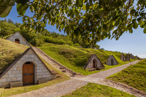 gombos-hegyi pincesor в херцегкуте, объект оон, великая равнина, северная венгрия - hungarian culture стоковые фото и изображения