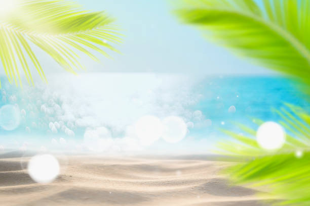 istock Blur beautiful nature green palm leaf on tropical beach with bokeh sun light wave abstract background. 1313284058