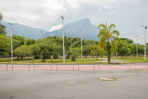 istock fig trees park in rodrigo de freitas lagoon in Rio de Janeiro. 1313284541