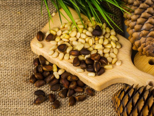 istock Pine nuts. Healthy eating. Siberian cedar. 1313286870