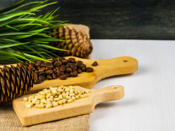 istock Pine nuts. Healthy eating. Siberian cedar. 1313286874