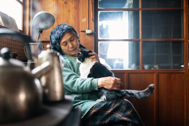 istock Senior woman with a cat on her lap relaxing in her kitchen 1313287418