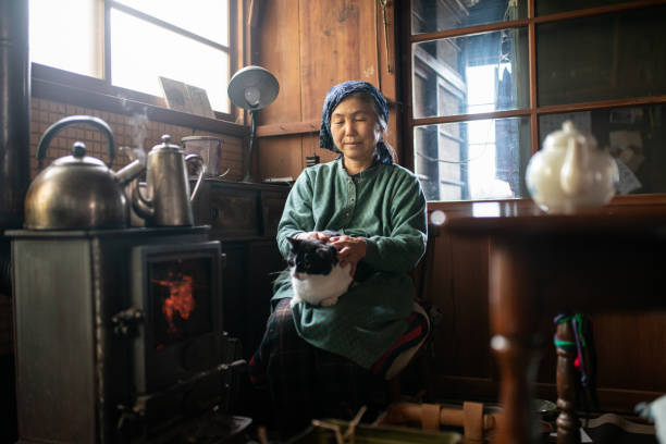 istock Senior woman with a cat on her lap relaxing in her kitchen 1313287426