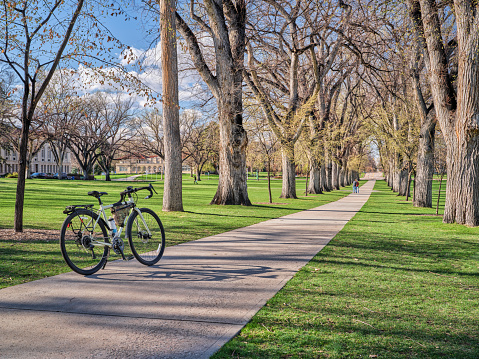 Touring bike with shadow in an allee of old American elm trees in early spring scenery - historical Oval of Colorado State University campus, landmark of Fort Collins, commuting concept