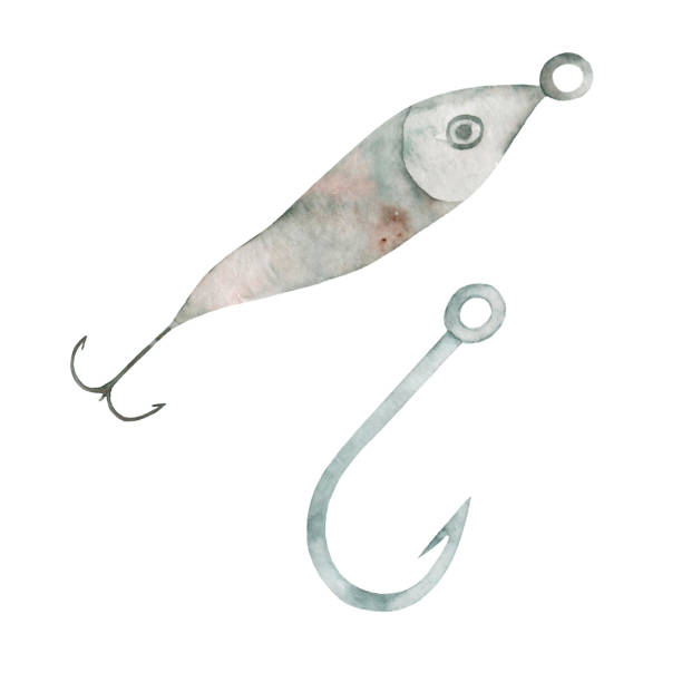 ilustrações, clipart, desenhos animados e ícones de conjunto de desenhos à mão de aquarela de anzóis de pesca isolados em fundo branco. tackle, isca. - fishing hook catch of fish fishing fishing tackle