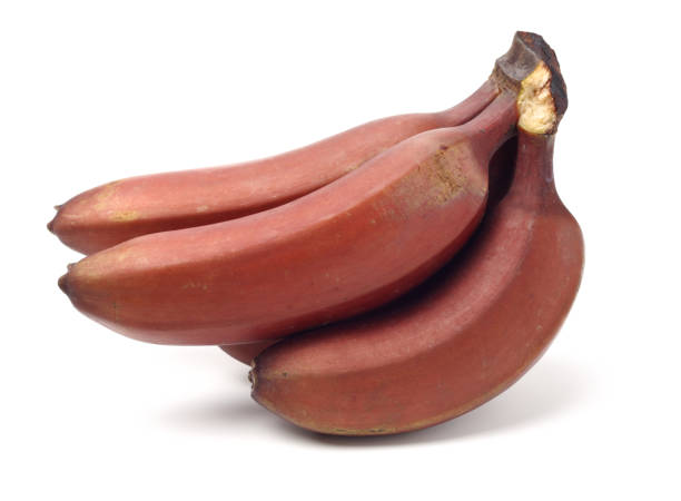istock ripe tropical tasty red bananas 1313292679