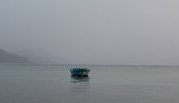istock row boat in sea 1313292713