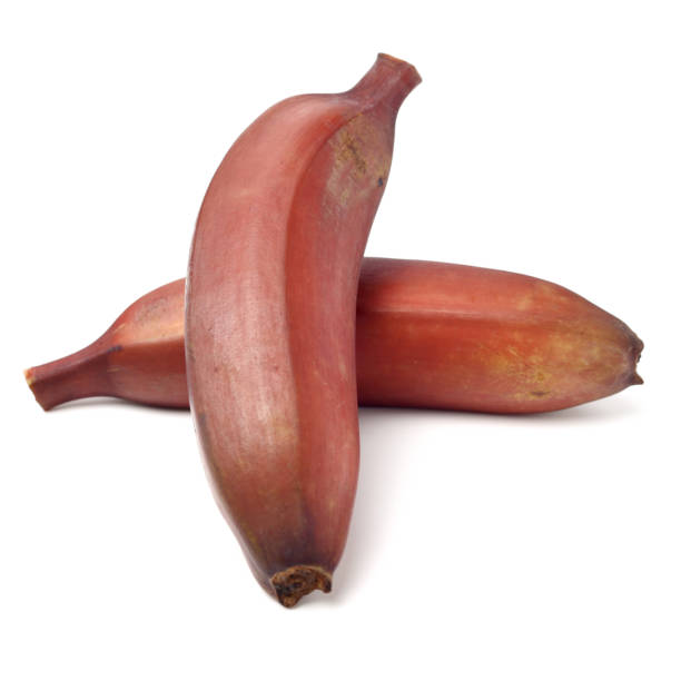 istock ripe tropical tasty red bananas 1313292727