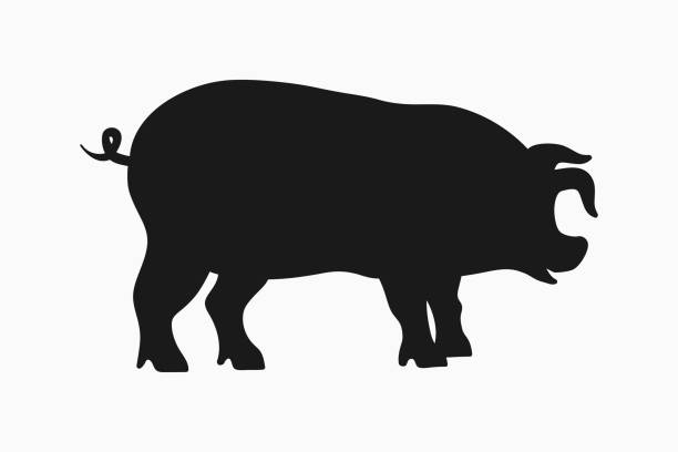 돼지 아이콘입니다. 흰색 배경에 고립 된 돼지의 실루엣. 벡터 - pig piglet butcher ranch stock illustrations