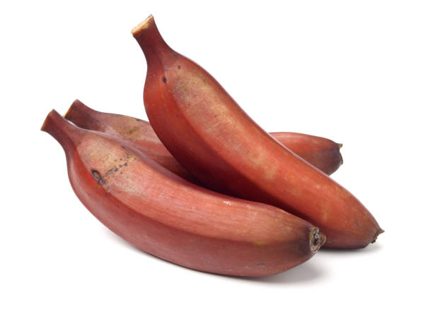 istock ripe tropical tasty red bananas 1313293066