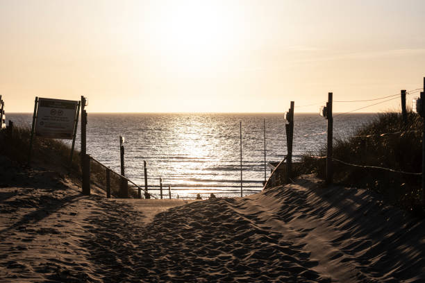 istock an entrance to the beach at sunset 1313297647