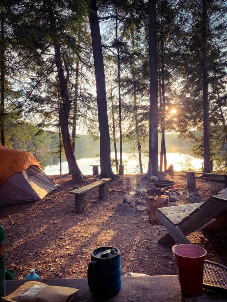 istock Morning Coffee in the Woods 1313297705