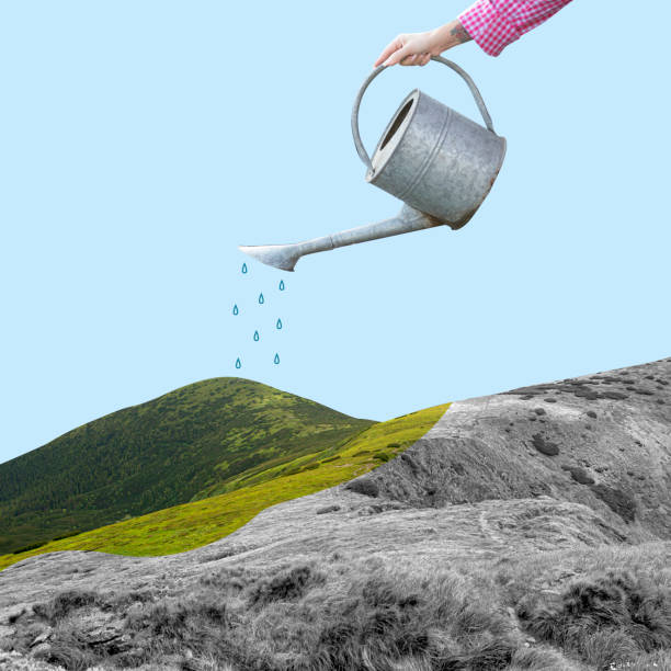 Contemporary art collage, modern design. Summertime mood