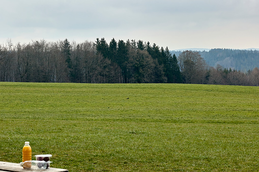 Full frame outdoor image at the morning with view to a meadow in foreground and a  forest in background in Germany