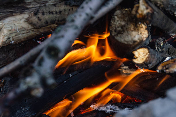 Open fire. A fire made of wooden firewood for cooking shish kebab