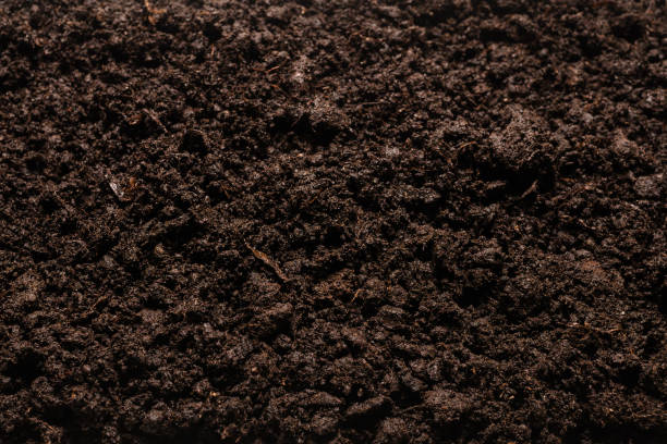 istock Black land for plant background. 1313301937