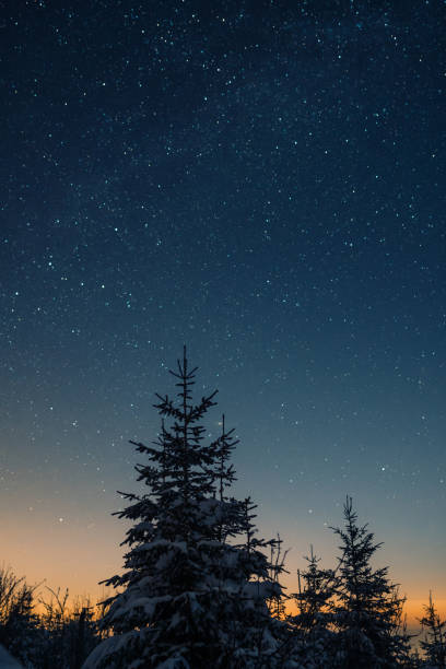 istock Nightsky in the national park Gantrisch 1313302893