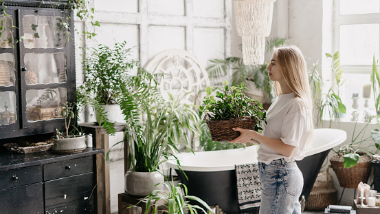 Side view of calm young adult woman holding wicker basket of houseplant in hands. Female with decor walking against bath in boho bathroom with green plants on backgrounds