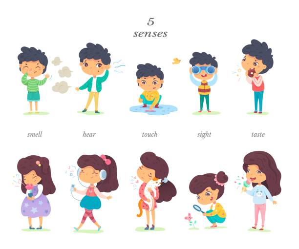 Boy and girl showing five senses set. Sense of sight, touch, hear, smell, taste vector illustration. Small happy children in nature and exploring wonders of spring. Joyful education at childhood Boy and girl showing five senses set. Sense of sight, touch, hear, smell, taste vector illustration. Small happy children in nature and exploring wonders of spring. Joyful education at childhood. visual sense stock illustrations