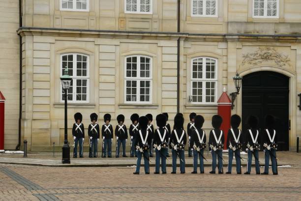 changing the guard ceremony in amalienborg palace, copenhagen. - castle honor guard protection security guard imagens e fotografias de stock
