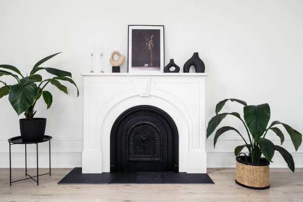 istock Houseplants and home decor in room with fireplace 1313304898