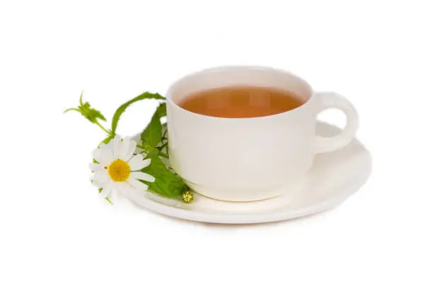 herbal chamomile tea in white porcelain cup on white background