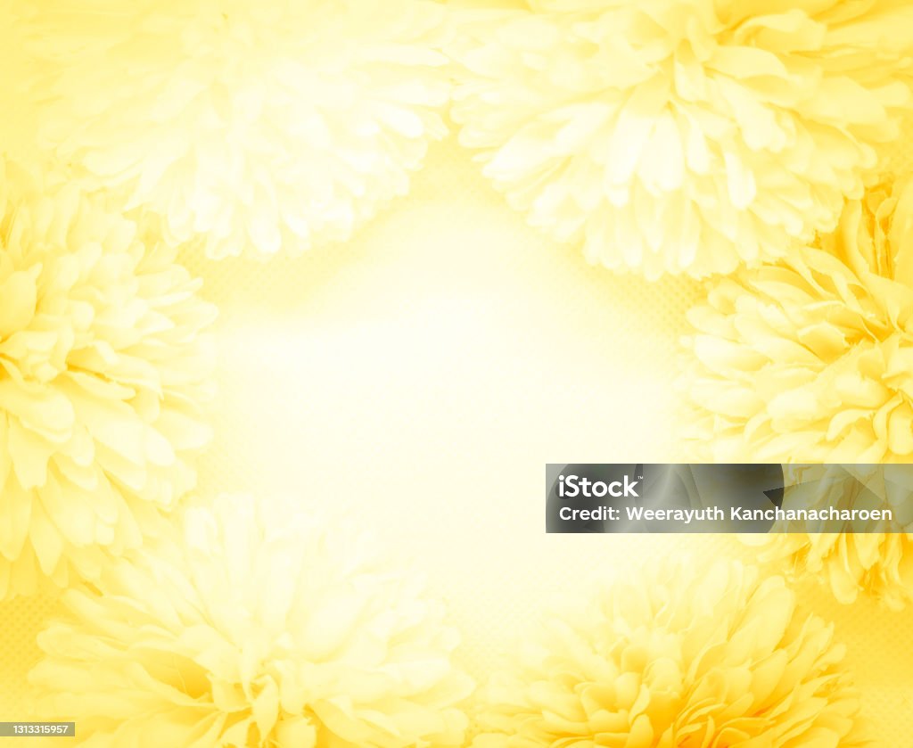 Beautiful Abstract Gray And Yellow Flowers On White Background ...