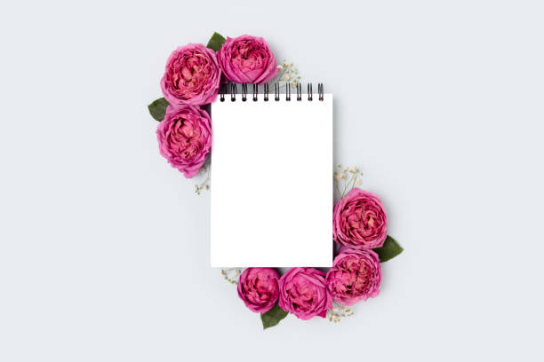 istock Frame made of rose flower and notepad mockup on a blue background. 1313316284