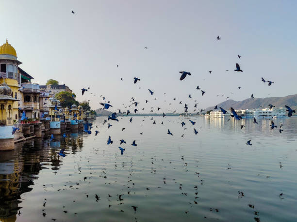 istock Sunset view of Udiapur 1313317554