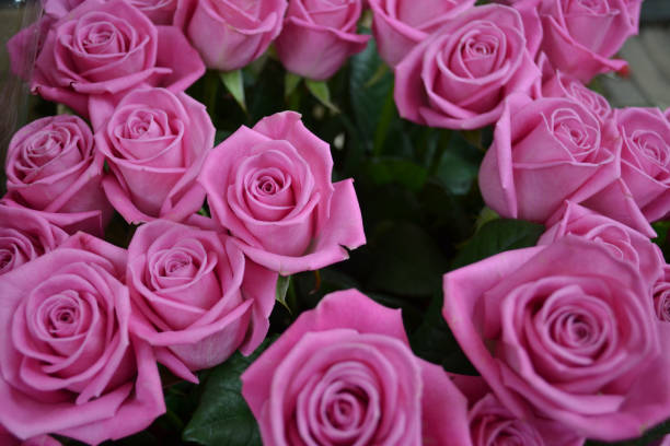 istock Bouquet of pink roses 1313324887