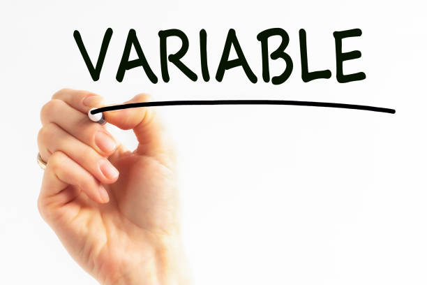 istock Hand writing inscription VARIABLE with marker, concept, stock image 1313329825