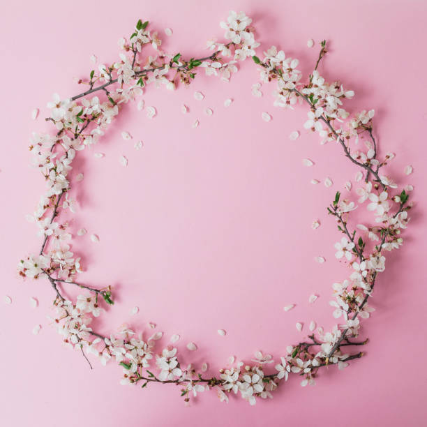 istock Round frame of spring flowers isolated on pink background. Flat lay, top view. Spring time background. 1313332126