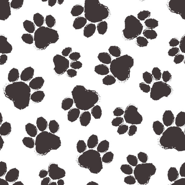 ilustrações, clipart, desenhos animados e ícones de padrão sem emenda do vetor da pata animal, silhueta preta de desenho animado patas gato ou cão. pegada simples. ilustração abstrata - paw print