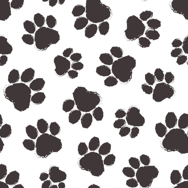 Animal paw vector seamless pattern, cartoon black silhouette paws cat or dog. Simple footprint. Abstract illustration Animal paw vector seamless pattern, cartoon black silhouette paws cat or dog isolated on white background. Simple footprint. Abstract illustration dog stock illustrations