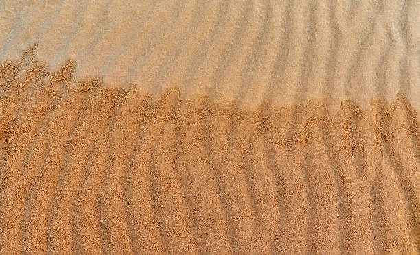 istock sand texture on a desert dune with patterns in the form of waves created by the wind 1313334251