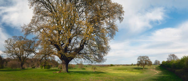 istock The Westwood public park and golf course in spring. Beverley, UK. 1313334785