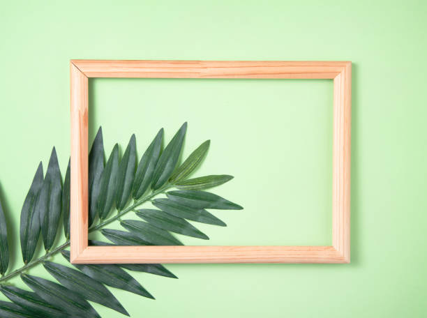 istock palm tree leaf and wooden frame on green background. Top view 1313338361