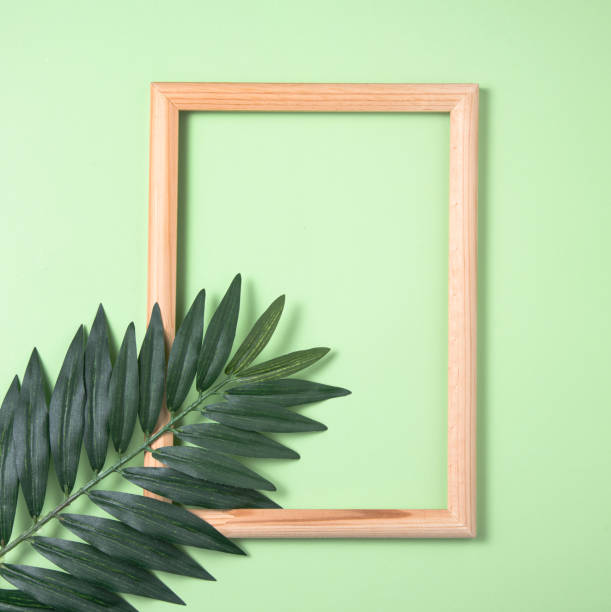 istock palm tree leaf and wooden frame on green background. Top view 1313338409