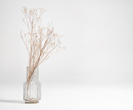 a bouquet of dried flowers in a glass vase on a white background. Scandinavian decor. Front view and copy space