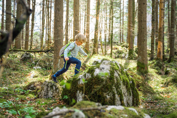 istock Little Boy Having A Blast Jumping And Spending Time In The Nature 1313339630